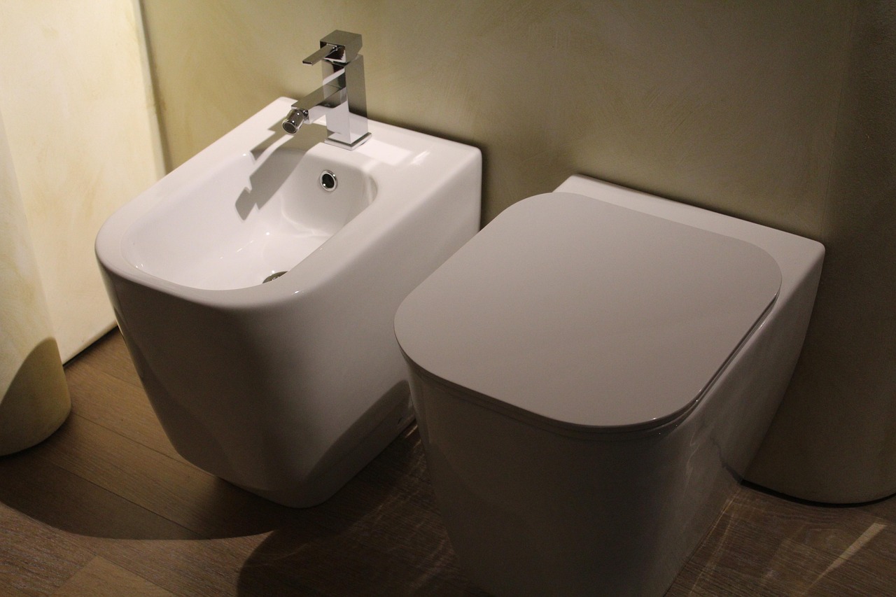 Nowoczesna toaleta i bidet obok siebie w łazience